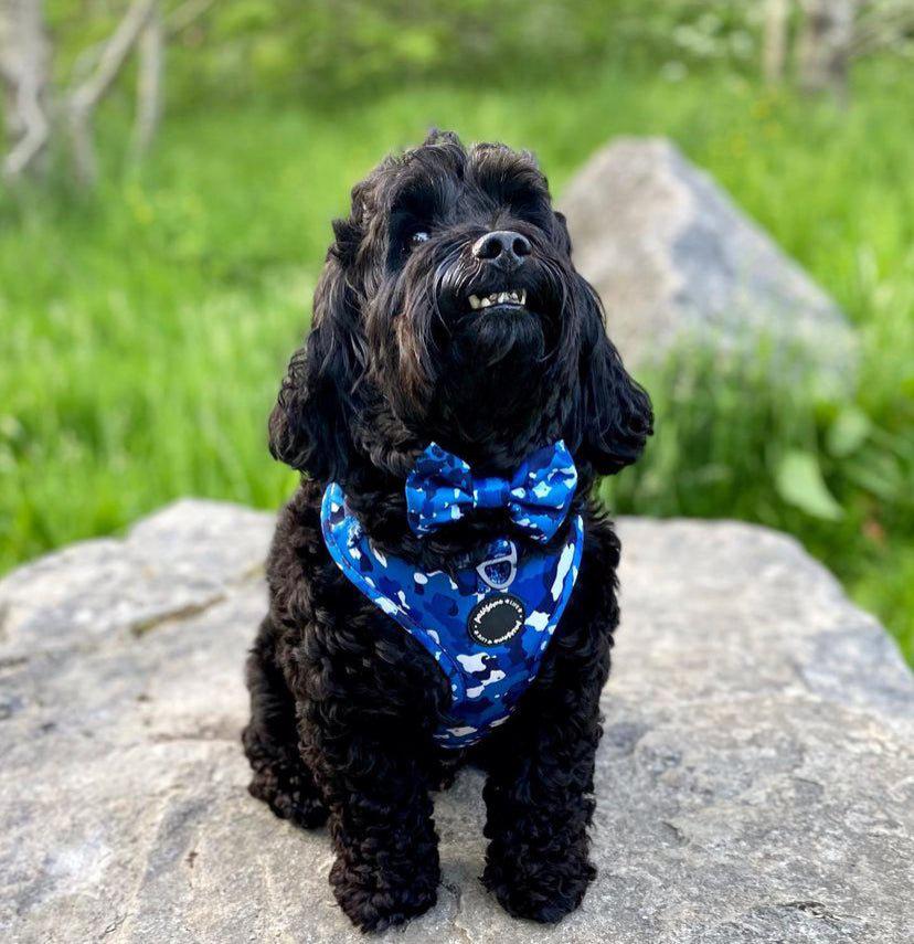 Blue Camo Dog Collar