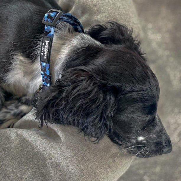 Blue Camo Dog Lead