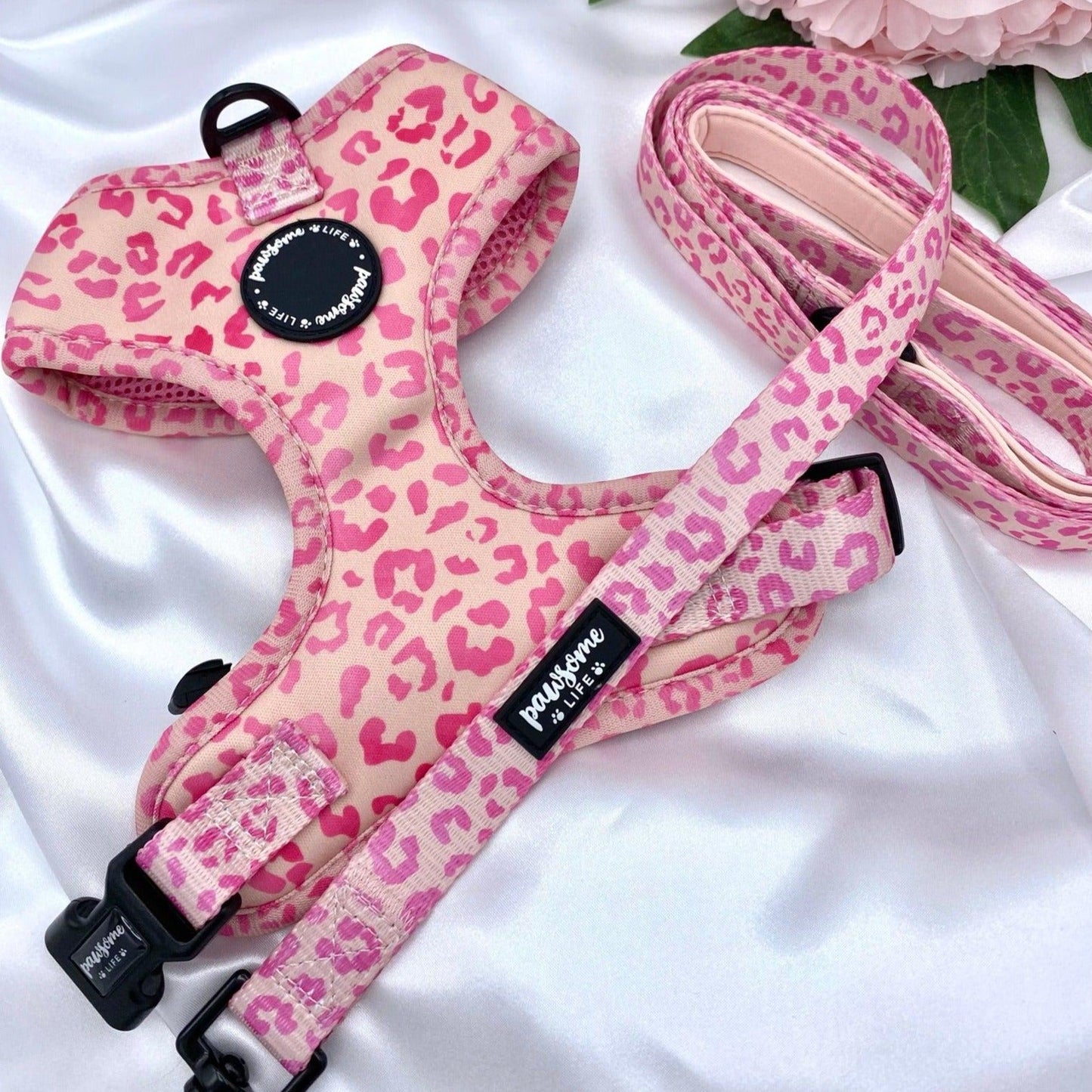 Ombre Leopard Dog Harness