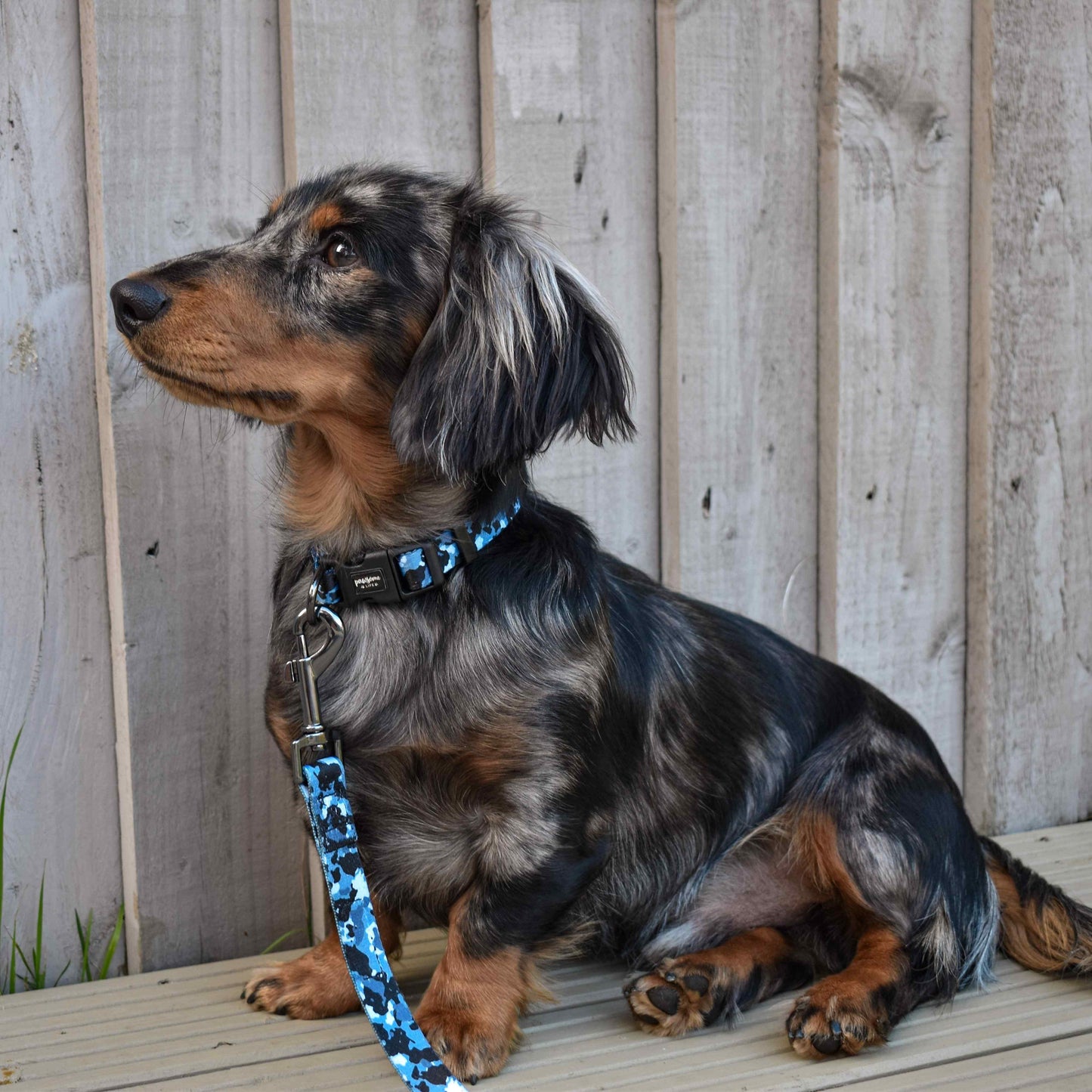 Blue Camo Dog Collar