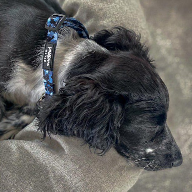 Blue Camo Dog Collar