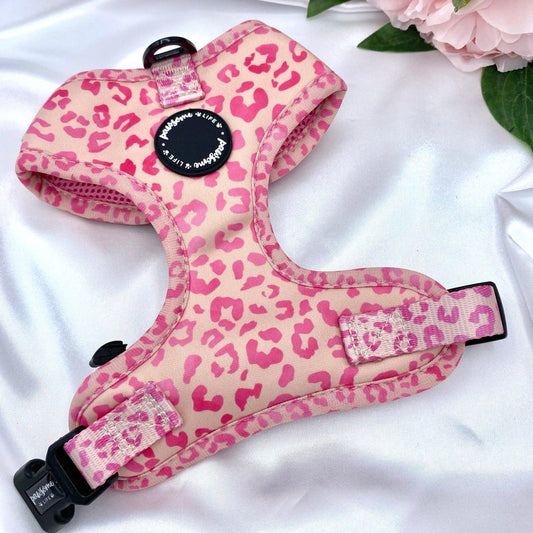 Ombre Leopard Dog Harness