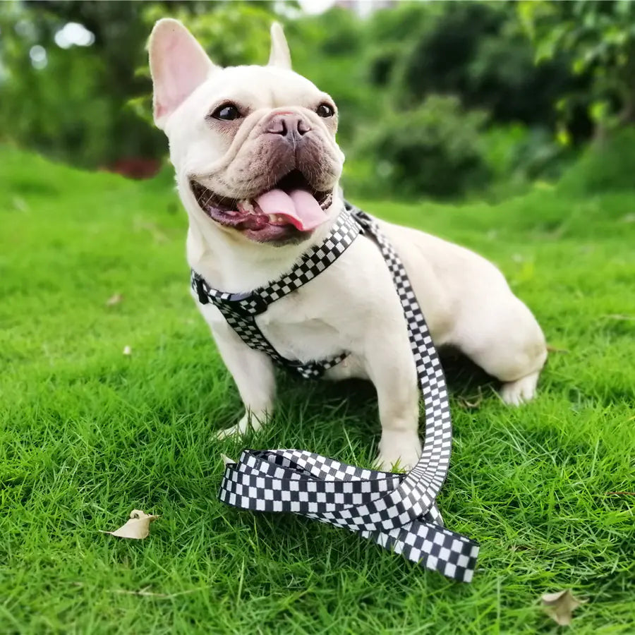 Pet Dog Harness with Checkered Design and Leash