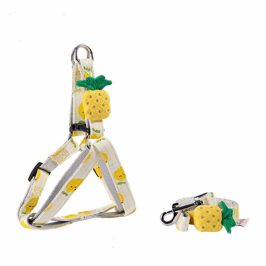 Fruit Series Dog Collar-3