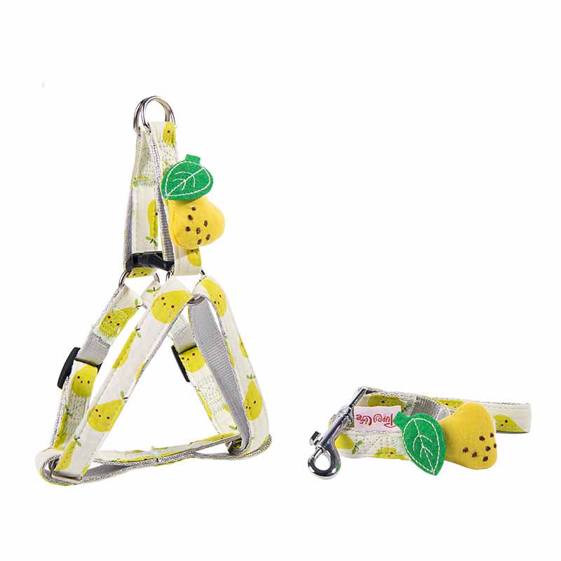 Fruit Series Dog Collar-5