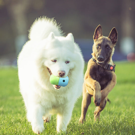 Fun and Functional Silicone Dog Toy Ball-1
