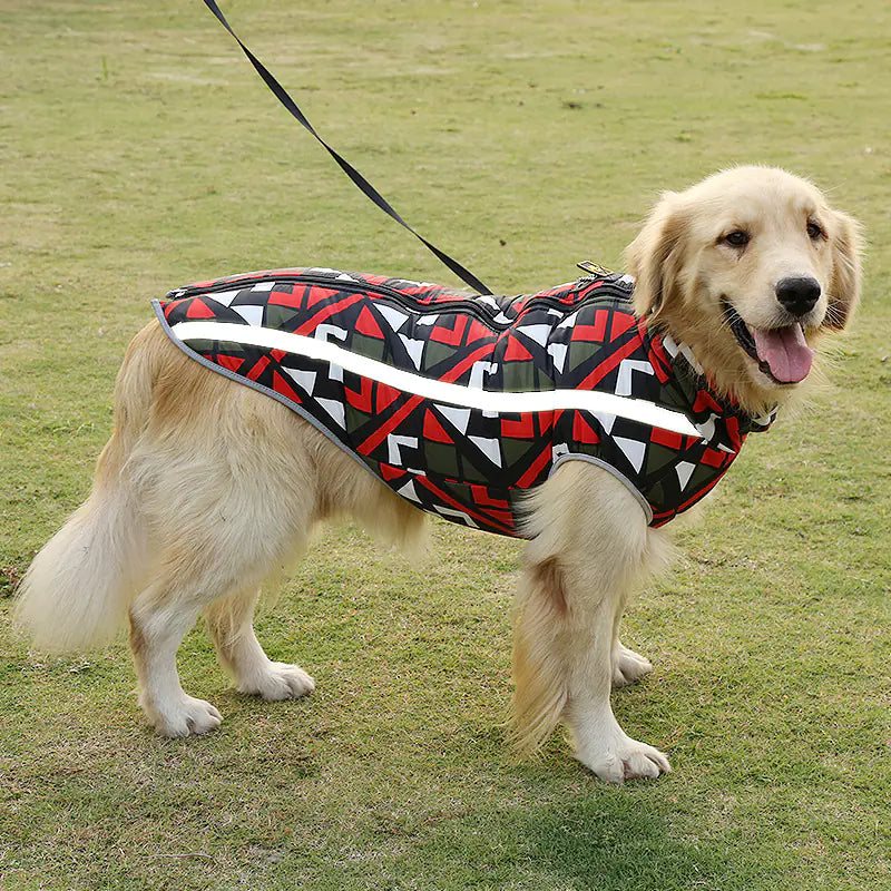 Mesh Dog Coat, Teddy Cotton Vest for Winter Wear