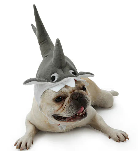 Cute Halloween Pet Shark Hat for Fun Transformation