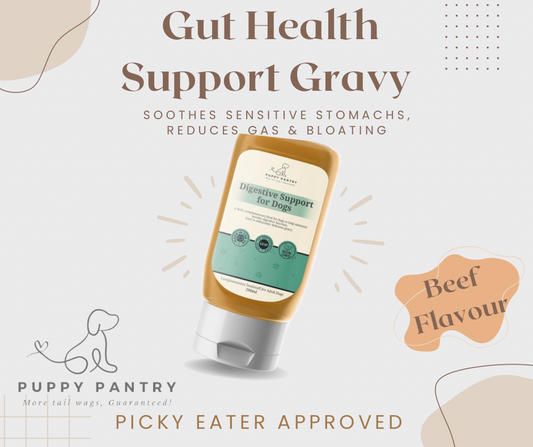 Probiotic Digestive Gravy – Beef (290ml)
Supports gut health, soothes sensitive stomachs, reduces gas & bloating