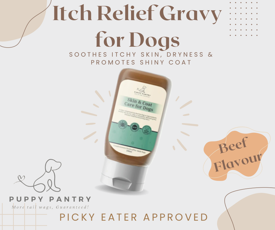 Itch Relief Gravy for Dogs - Soothes Itchy Skin, Dryness & Promotes Shiny Coat (290ml)