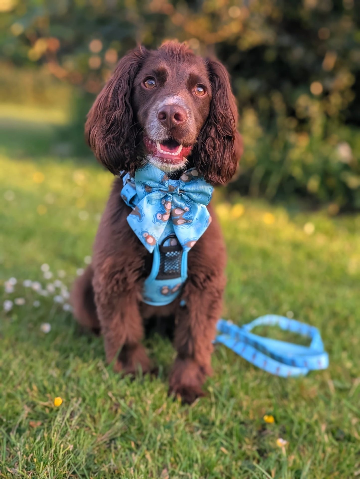 Otterly Lovely Tactical Dog Harness – No Pull &  Fully Adjustable