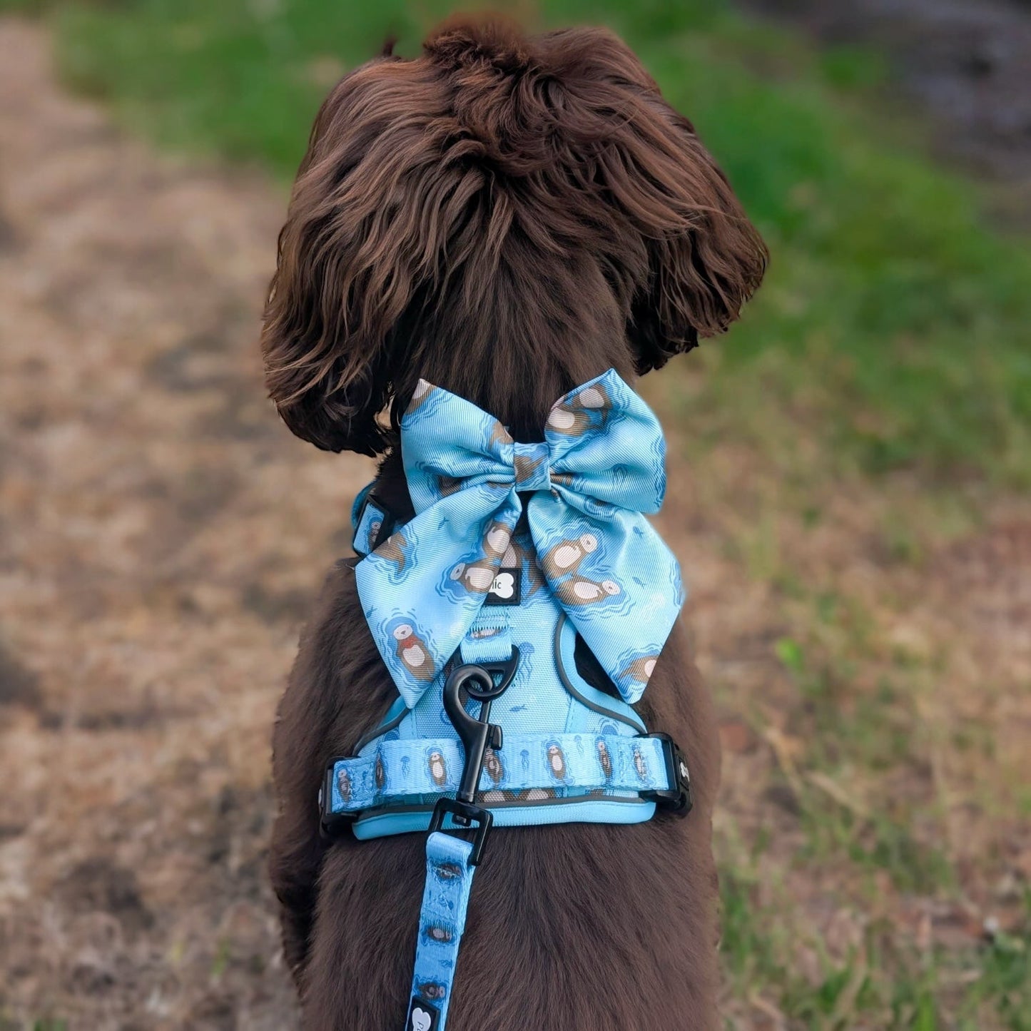 Otterly Lovely Tactical Dog Harness – No Pull &  Fully Adjustable