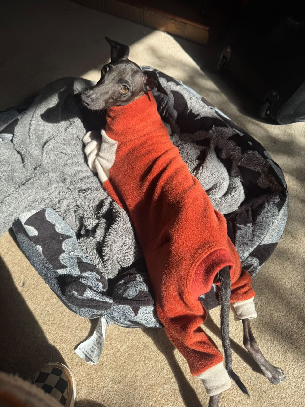 Fleece Lined Sweatshirt Suit - Stone & Rust