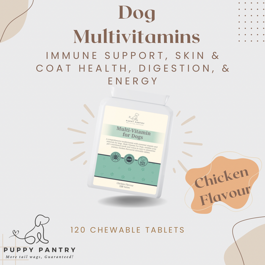 Dog Multivitamin - Immune Support, Skin & Coat Health, Digestion, & Energy - Chicken Flavor - 120 Chewable Tablets