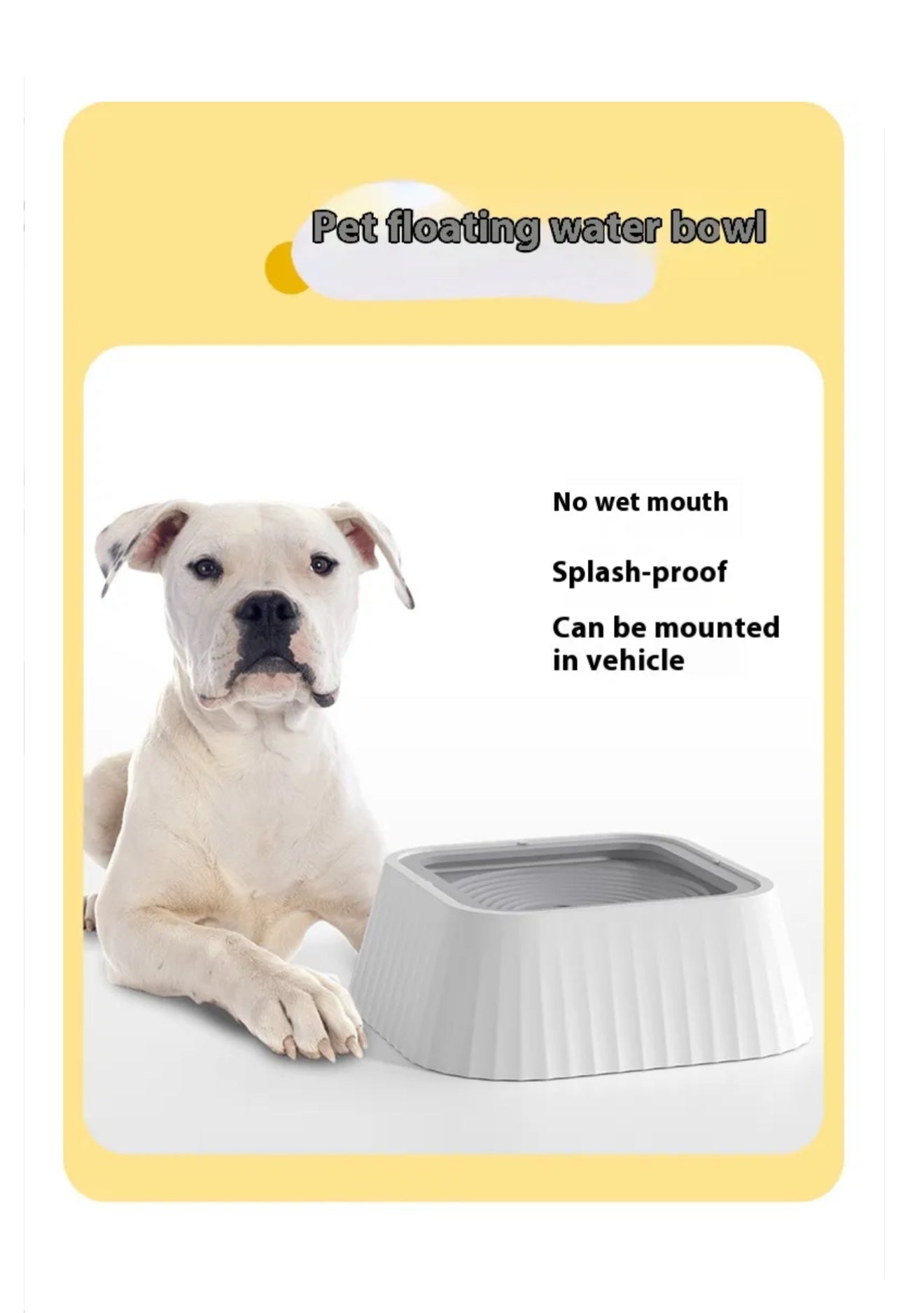 Floating Pet Water Bowl