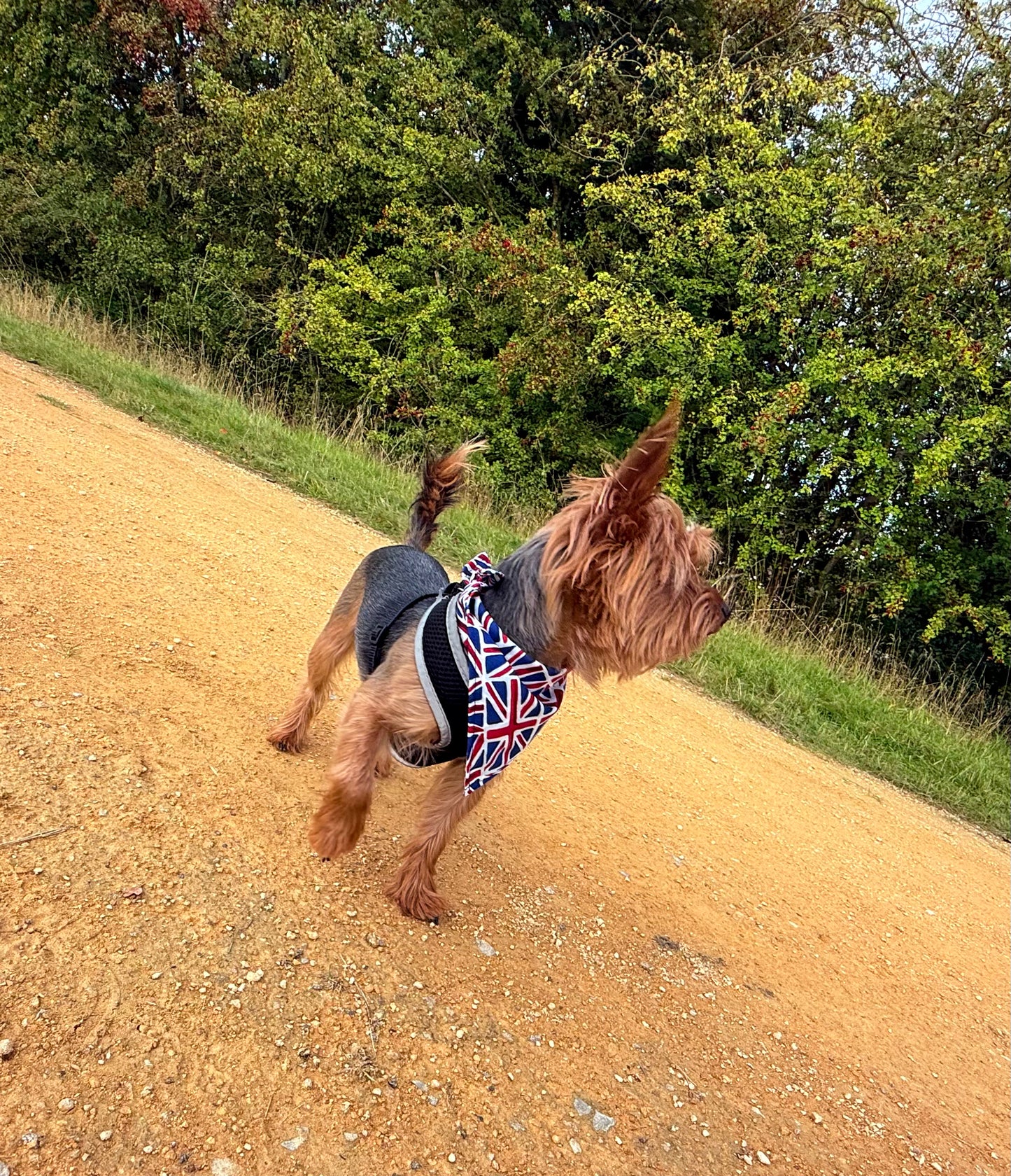 Union Jack Bandana - Handmade Double-Sided