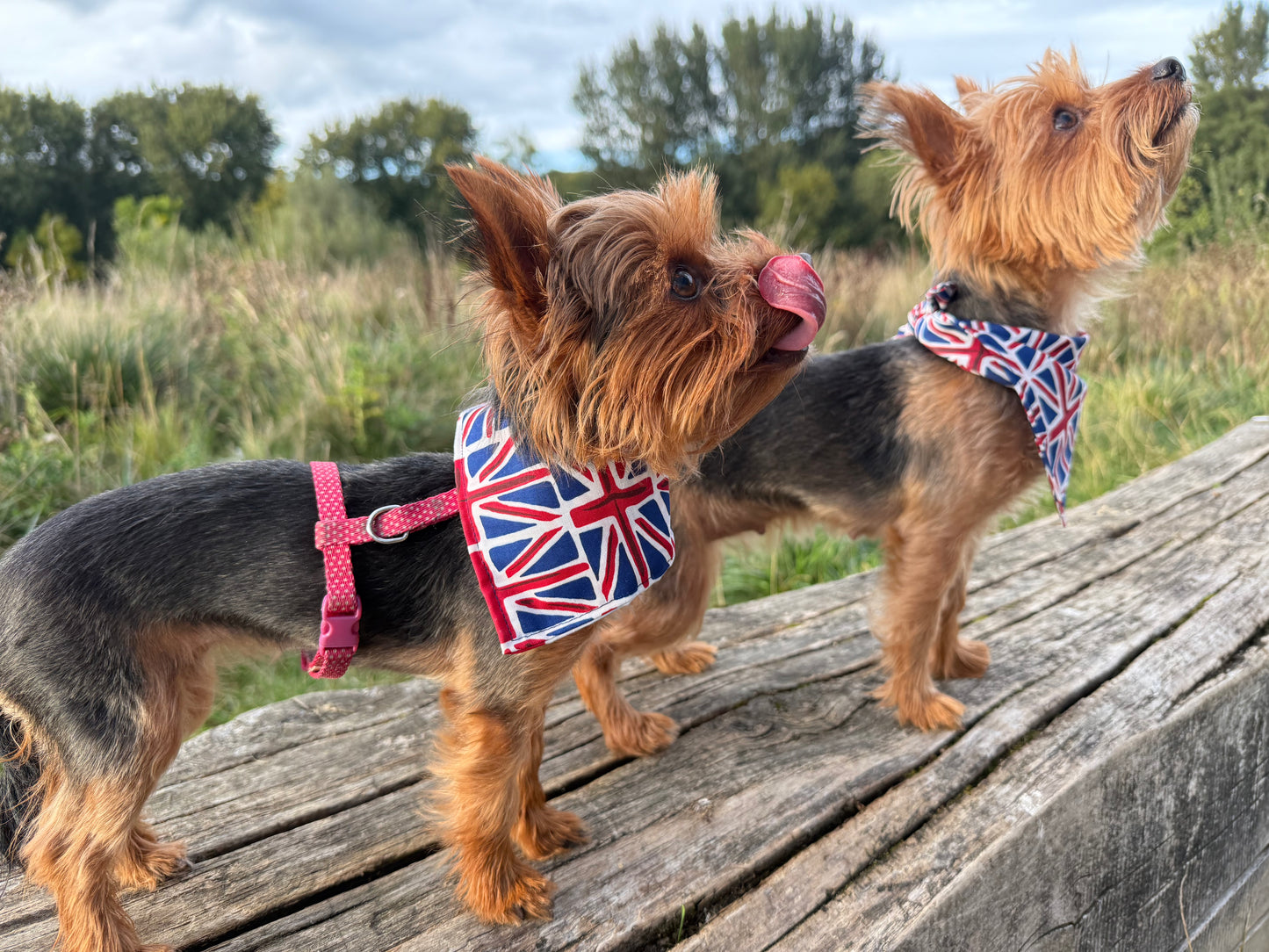 Union Jack Bandana - Handmade Double-Sided