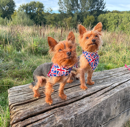 Union Jack Bandana - Handmade Double-Sided
