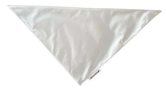 Rainbow Special Bandana