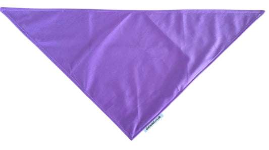 Rainbow Special Bandana
