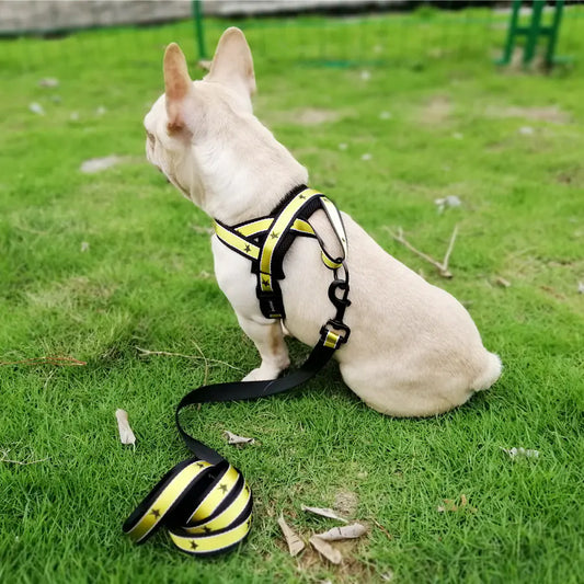 Star Pattern Harness and Leash for Medium to Large Dogs