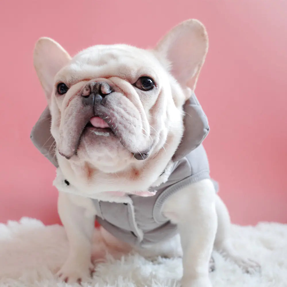 Warm Cotton Coat for Dogs with Thickened Velvet Vest