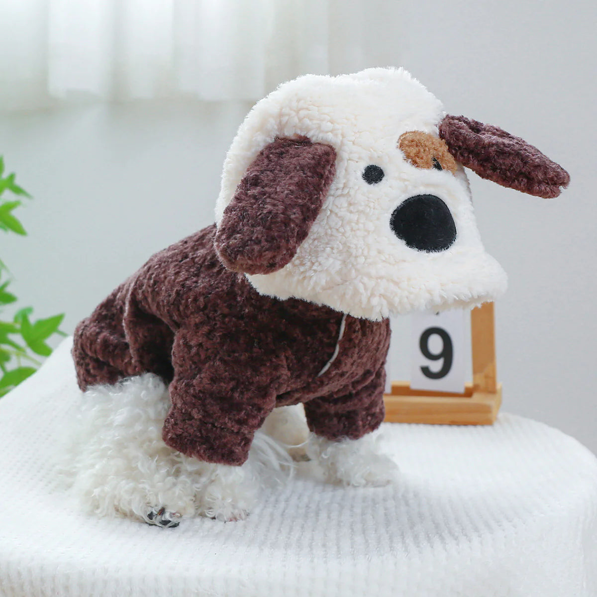 Dog's Bodysuit