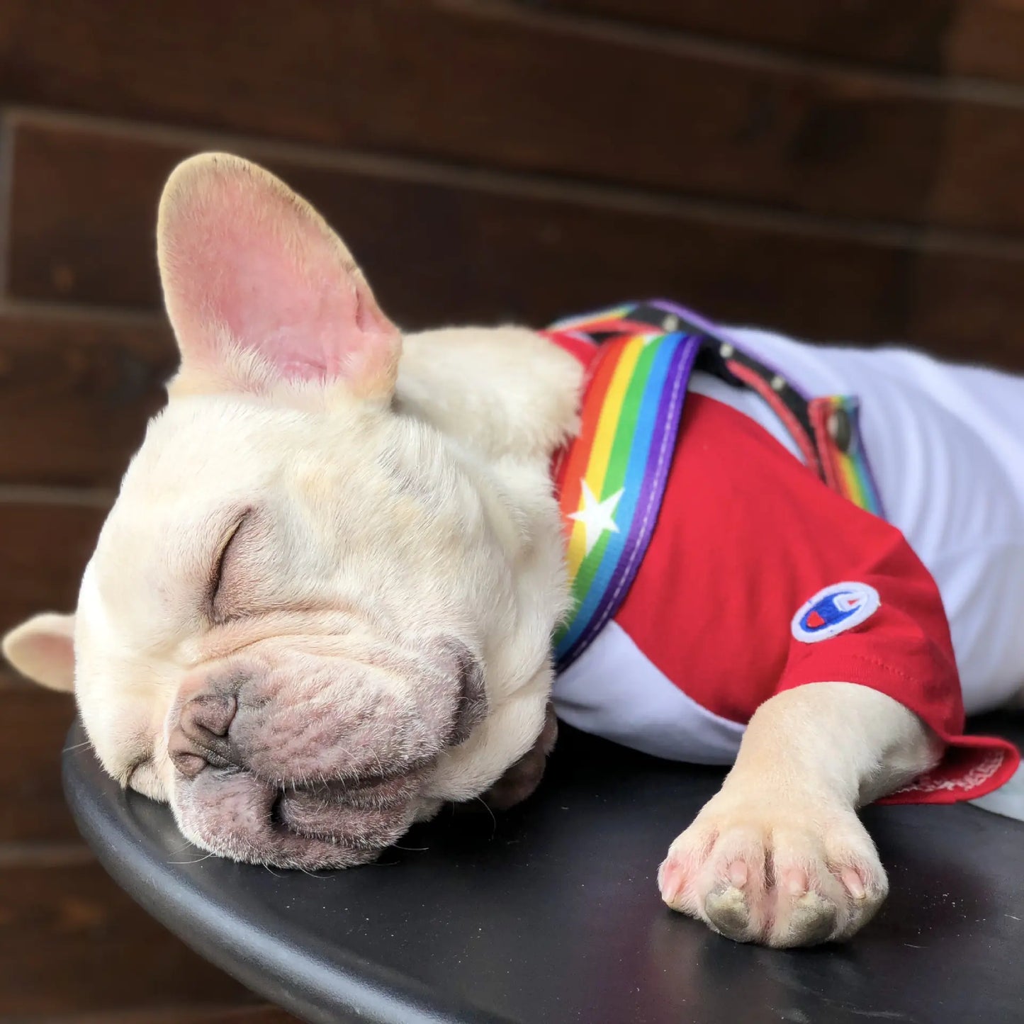 Cool Rainbow Dog Leash with Harness for Various Breeds