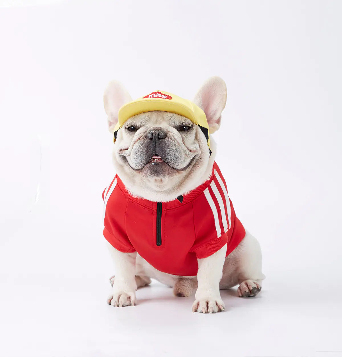 Dog Hoodie with Three Stripes for Pets