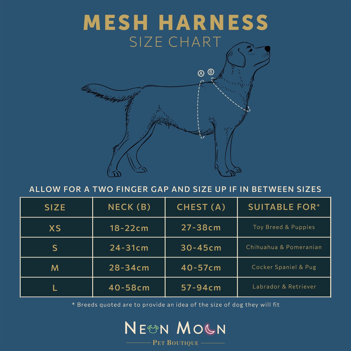 The Willow Mesh Harness