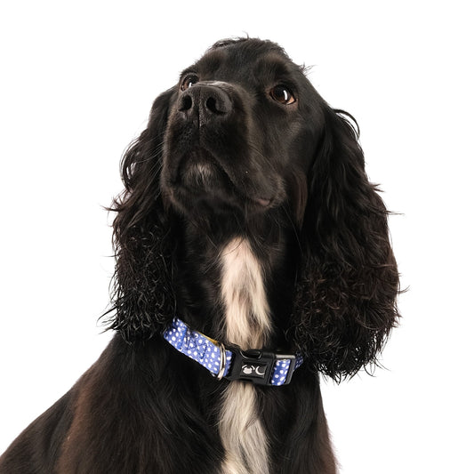 The Minnie Dog Collar