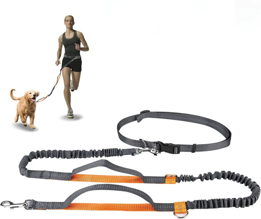 Winkeyes Hands Free Retractable Dog Leash 5ft-8ft with Dual Bungees for Puppy Small & Medium Dogs 110Ibs Adjustable Waist Belt 27"-47" Reflective Stitching Leash for Running Walking Hiking (Orange)