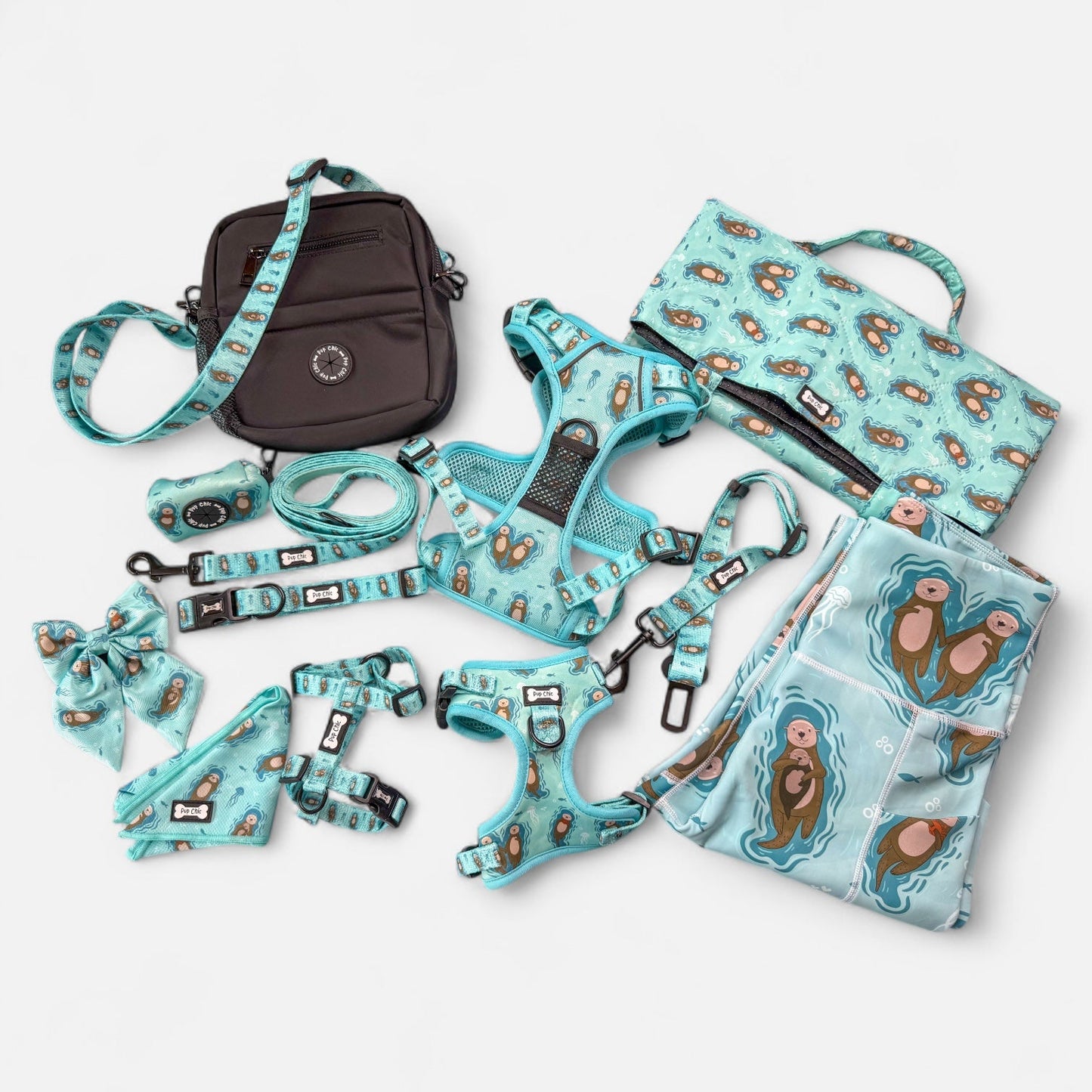 Otterly Lovely Dog Collar 🦦💙