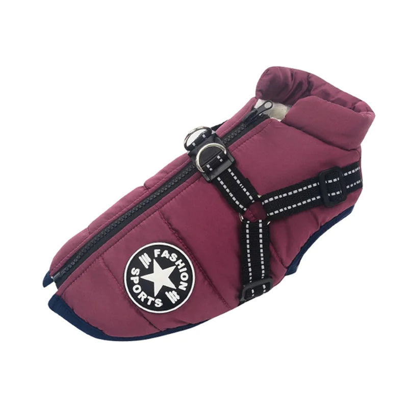 Large Dog Winter Coat – Warm & Waterproof