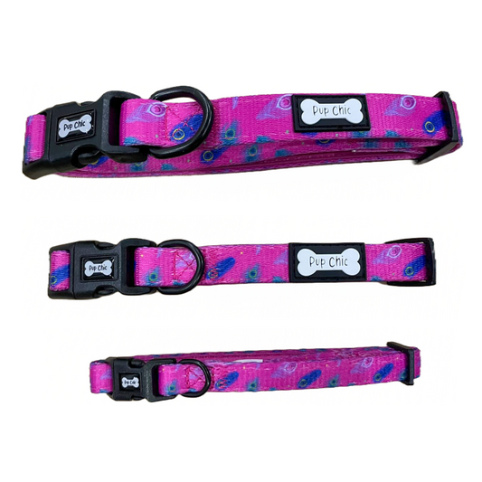 Peacock Power Dog Collar: Stylish, Durable, and Comfortable for Your Dog