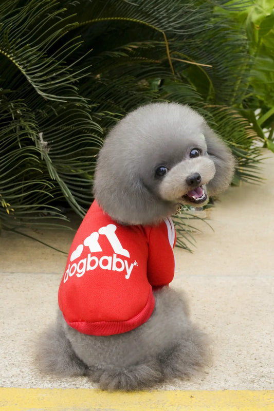DogBaby Autumn Winter Sports Hoodie for Pets