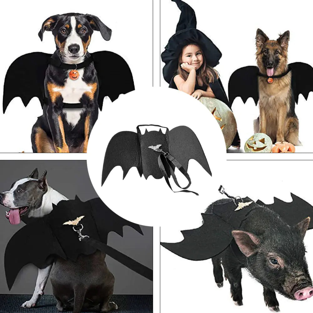 Halloween Pet Leash with Felt Bat Costume Design