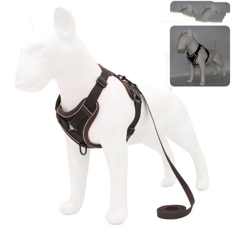 Reflective Vest-Style Harness for Small to Medium Dogs-6