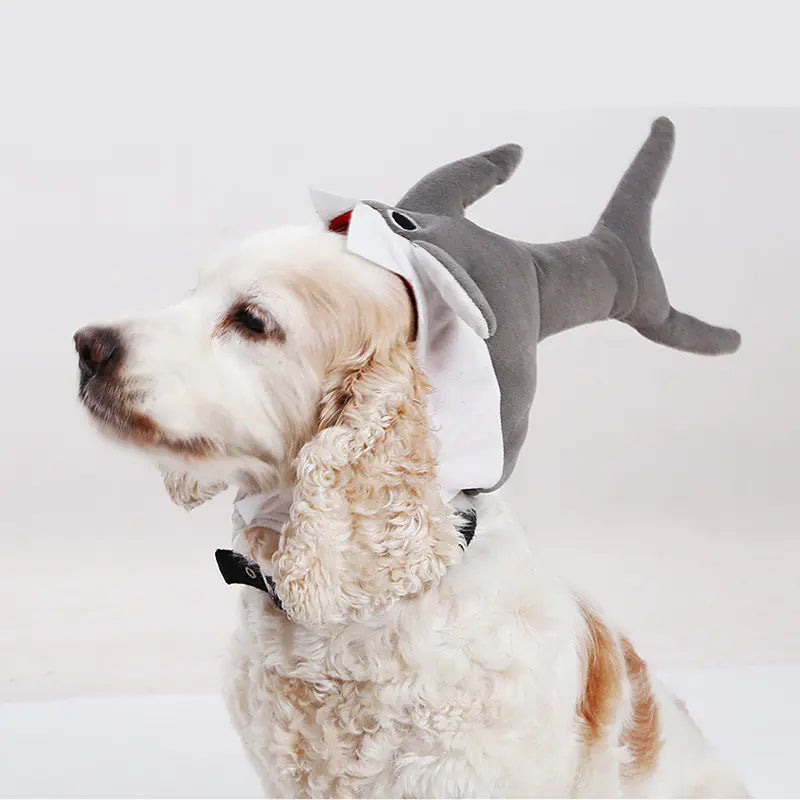 Cute Halloween Pet Shark Hat for Fun Transformation