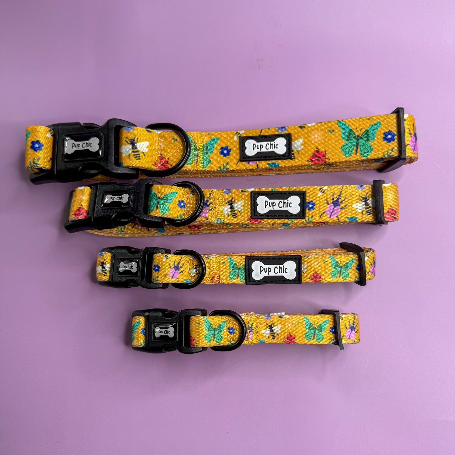 Summer Buzzin’ Dog Collar