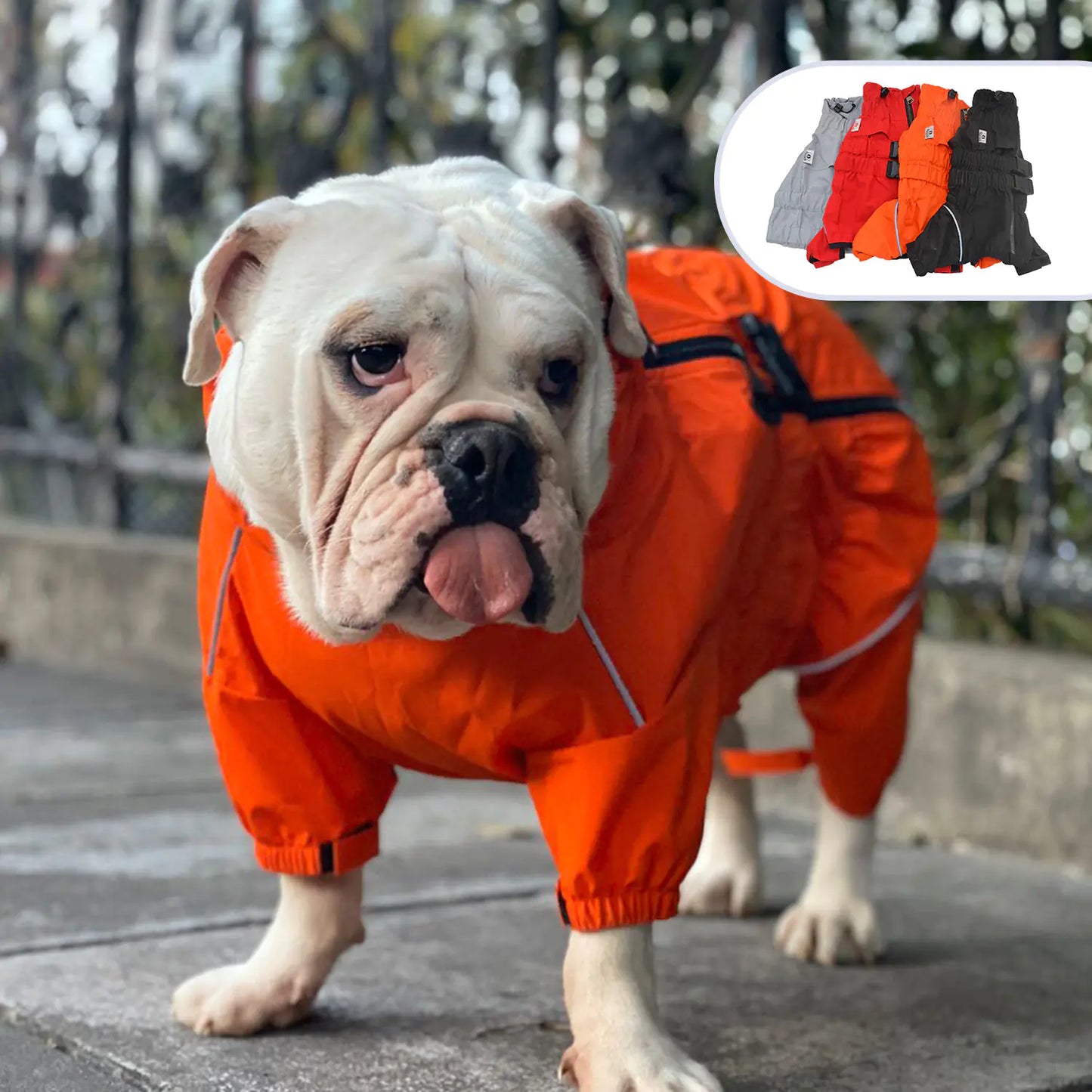Outdoor Four-Legged Dog Raincoat
