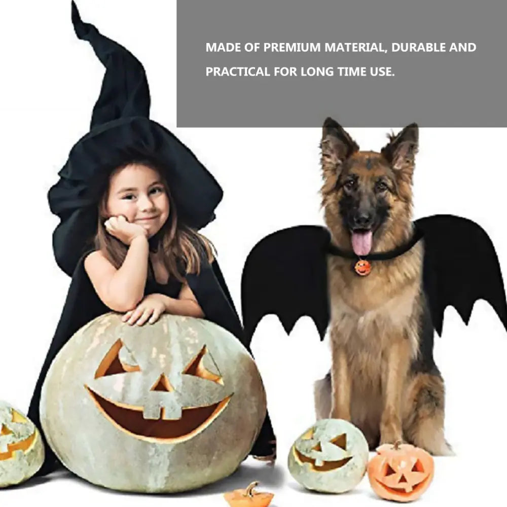 Halloween Pet Leash with Felt Bat Costume Design