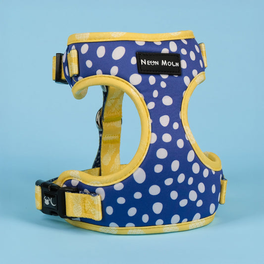 The Minnie Mesh Harness