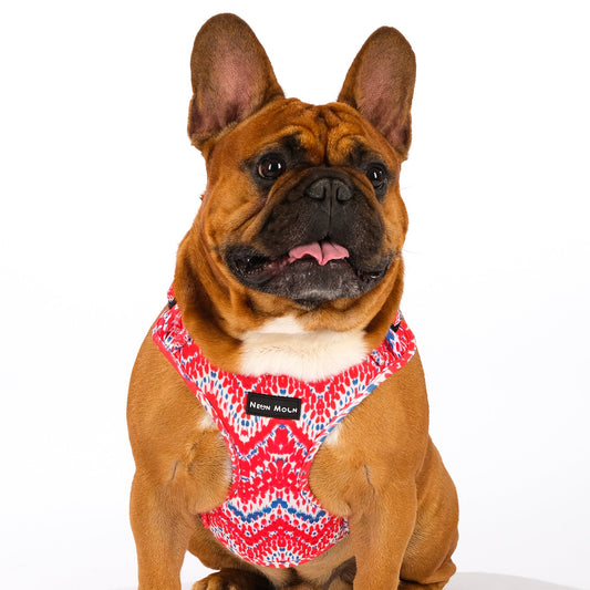 The Tod Mesh Harness