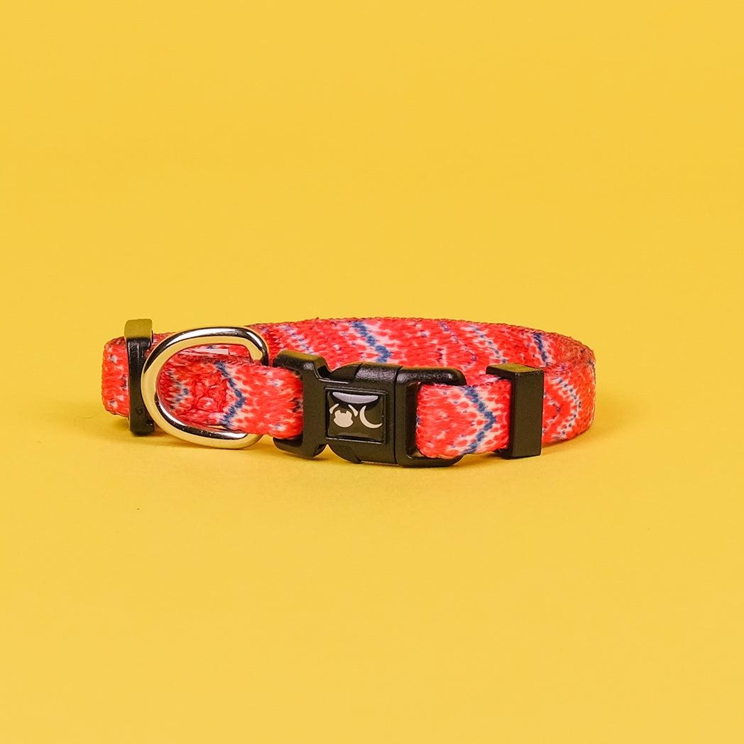 The Tod Dog Collar