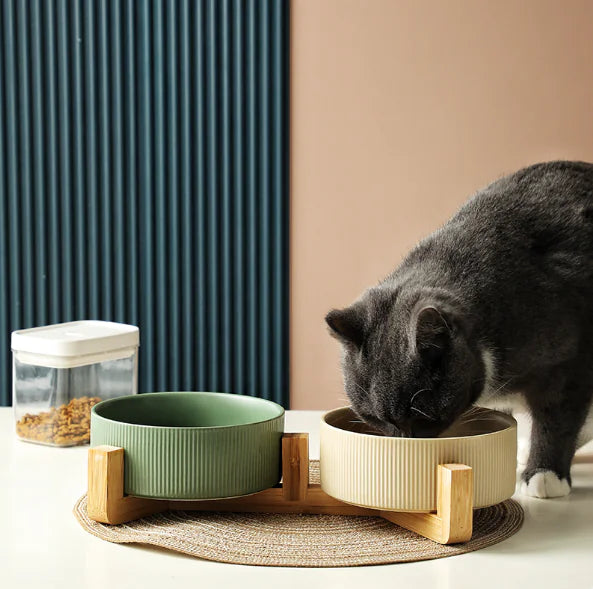 Stable Pet Ceramic Bowl