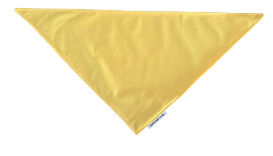 Rainbow Special Bandana