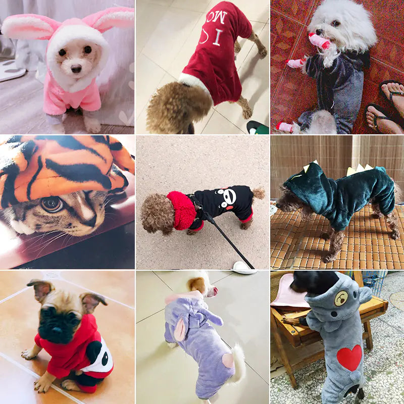 Thick Winter Clothes for Small Dogs and Cats