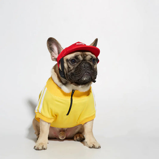 Dog Hoodie with Three Stripes for Pets
