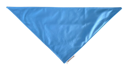 Rainbow Special Bandana